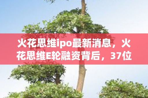 火花思维ipo最新消息，火花思维E轮融资背后，37位受访者自曝内幕，这疑点让我绷不住了！