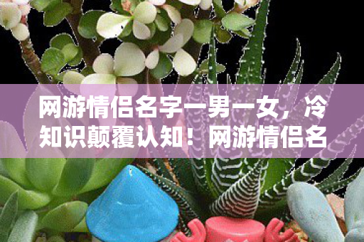 网游情侣名字一男一女,冷知识颠覆认知!网游情侣名设计竟藏目瞪口呆的拆弹级玄机 网游情侣名字一男一女,冷知识颠覆认知!网游情侣名设计竟藏目瞪口呆的拆弹级玄机