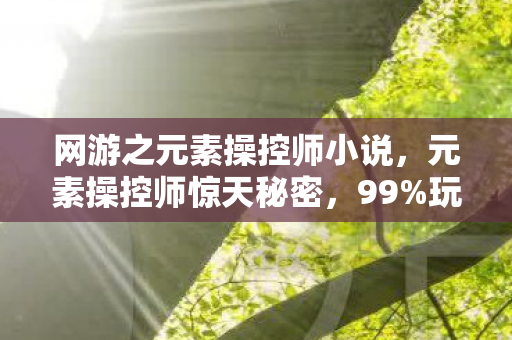 网游之元素操控师小说，元素操控师惊天秘密，99%玩家不知的300%暴击暗改真相！