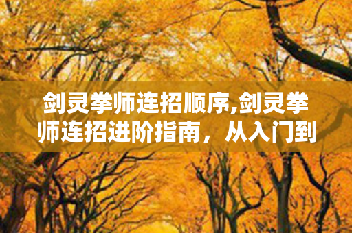 剑灵拳师连招顺序,剑灵拳师连招进阶指南,从入门到精通的输出循环思路 剑灵拳师连招顺序,剑灵拳师连招进阶指南,从入门到精通的输出循环思路
