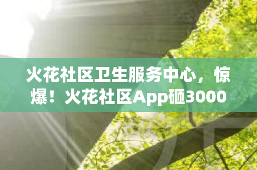 火花社区卫生服务中心，惊爆！火花社区App砸3000万做玩法，竟因这隐情全砍了？吓一跳！