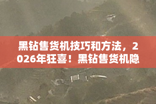 黑钻售货机技巧和方法，2026年狂喜！黑钻售货机隐藏玄机，你竟不知这惊人秘密？