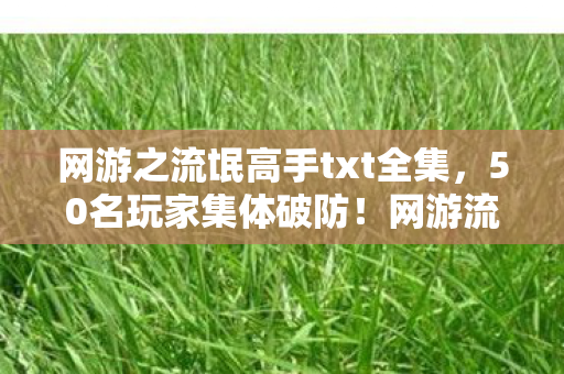 网游之流氓高手txt全集，50名玩家集体破防！网游流氓高手疑现跨服代打？网吧采访笑到绷不住