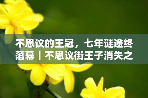 不思议的王冠，七年谜途终落幕｜不思议街王子消失之谜｜泪目见证服务器熄灯