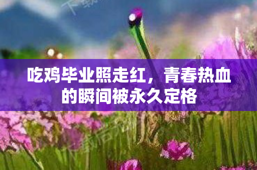 青春热血的瞬间被永久定格图片