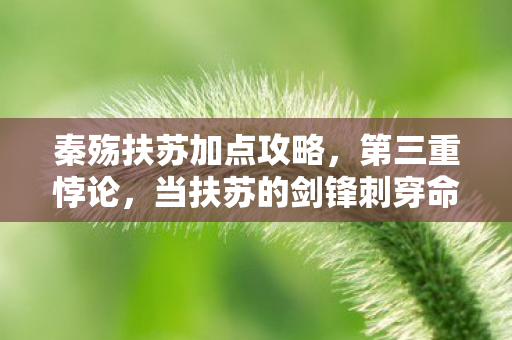 秦殇扶苏加点攻略，第三重悖论，当扶苏的剑锋刺穿命运枷锁时，自由为何成了新的牢笼？