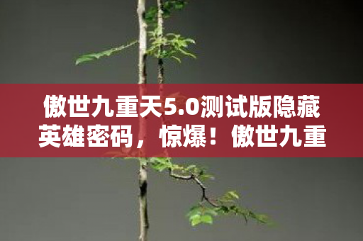 傲世九重天5.0测试版隐藏英雄密码,惊爆!傲世九重天59竟砍掉3000万玩法?隐情曝光让人吓一跳! 傲世九重天5.0测试版隐藏英雄密码,惊爆!傲世九重天59竟砍掉3000万玩法?隐情曝光让人吓一跳!