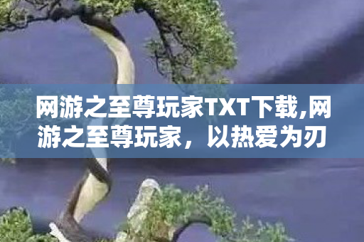 网游之至尊玩家TXT下载,网游之至尊玩家,以热爱为刃闯遍虚拟山海 网游之至尊玩家TXT下载,网游之至尊玩家,以热爱为刃闯遍虚拟山海