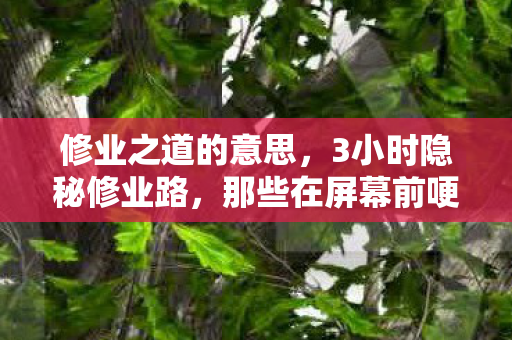 修业之道的意思,3小时隐秘修业路,那些在屏幕前哽咽的深夜 修业之道的意思,3小时隐秘修业路,那些在屏幕前哽咽的深夜