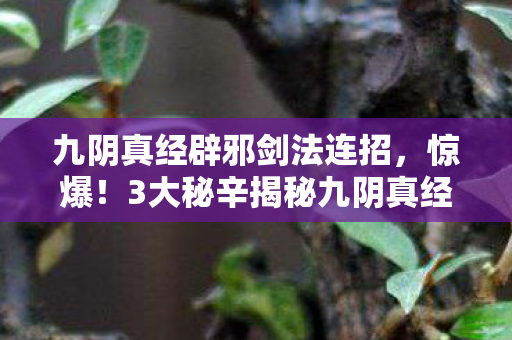 九阴真经辟邪剑法连招,惊爆!3大秘辛揭秘九阴真经辟邪剑法,练后直呼过瘾! 九阴真经辟邪剑法连招,惊爆!3大秘辛揭秘九阴真经辟邪剑法,练后直呼过瘾!