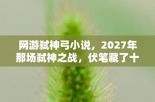 网游弑神弓小说，2027年那场弑神之战，伏笔藏了十年，如今想起鼻子一酸