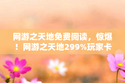 网游之天地免费阅读，惊爆！网游之天地299%玩家卡关的隐藏副本竟藏着……