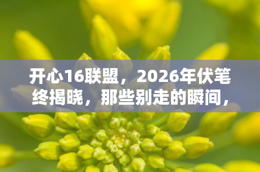 开心16联盟，2026年伏笔终揭晓，那些别走的瞬间，让我鼻子一酸