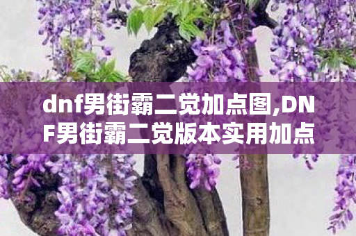 dnf男街霸二觉加点图,DNF男街霸二觉版本实用加点指南，兼顾搬砖与团本的适配方案