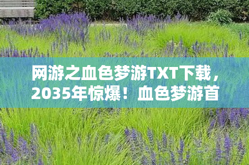 网游之血色梦游TXT下载，2035年惊爆！血色梦游首测99%玩家竟被困虚拟世界？