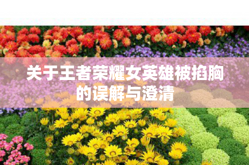 关于王者荣耀女英雄被掐胸的误解与澄清图片