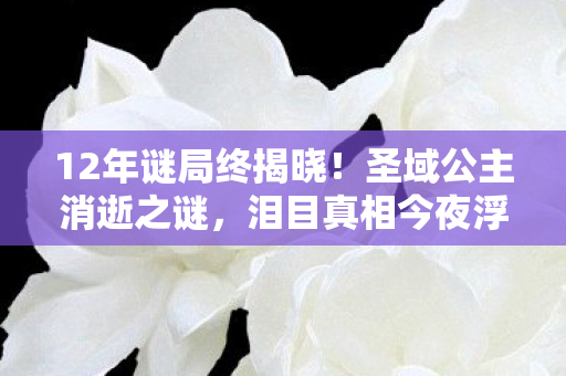 12年谜局终揭晓！圣域公主消逝之谜，泪目真相今夜浮现