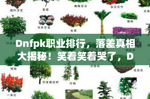 Dnfpk职业排行，落差真相大揭秘！笑着笑着哭了，DNF PK职业排行背后的退坑谎言