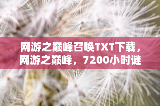 网游之巅峰召唤TXT下载，网游之巅峰，7200小时谜局终解，千万玩家泪目于2027年3月15日集体退游