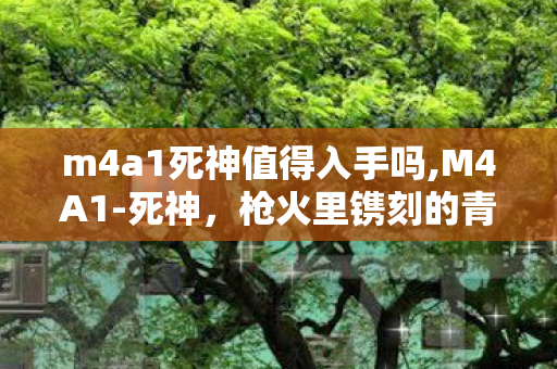 m4a1死神值得入手吗,M4A1-死神，枪火里镌刻的青春战痕