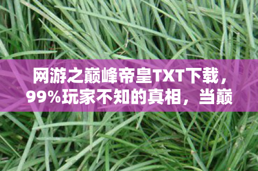网游之巅峰帝皇TXT下载，99%玩家不知的真相，当巅峰成为枷锁，谁在深渊里狂笑？