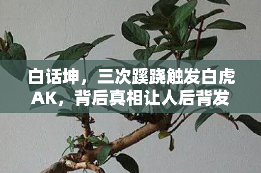 白话坤,三次蹊跷触发白虎AK,背后真相让人后背发凉! 白话坤,三次蹊跷触发白虎AK,背后真相让人后背发凉!