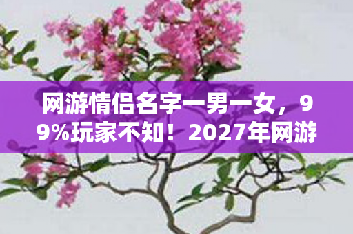 网游情侣名字一男一女,99%玩家不知!2027年网游情侣名暗藏惊天玄机,看完直接破防! 网游情侣名字一男一女,99%玩家不知!2027年网游情侣名暗藏惊天玄机,看完直接破防!