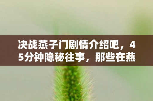 决战燕子门剧情介绍吧,45分钟隐秘往事,那些在燕子门里哽咽过的通宵夜 决战燕子门剧情介绍吧,45分钟隐秘往事,那些在燕子门里哽咽过的通宵夜