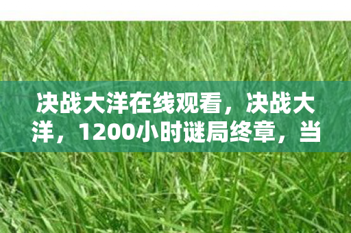 决战大洋在线观看,决战大洋,1200小时谜局终章,当最后一名玩家在2027年3月17日泪目离线 决战大洋在线观看,决战大洋,1200小时谜局终章,当最后一名玩家在2027年3月17日泪目离线