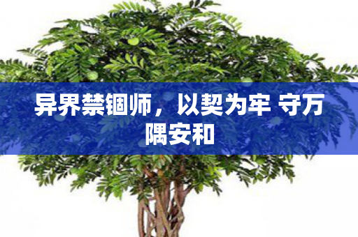 异界禁锢师,以契为牢 守万隅安和 异界禁锢师,以契为牢 守万隅安和