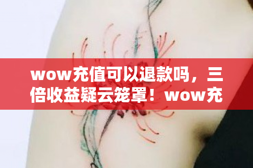 wow充值可以退款吗,三倍收益疑云笼罩!wow充值背后,玩家心寒的资本游戏何时休? wow充值可以退款吗,三倍收益疑云笼罩!wow充值背后,玩家心寒的资本游戏何时休?