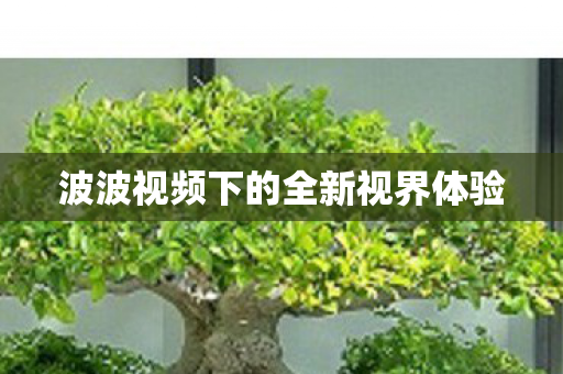 波波视频下的全新视界体验图片