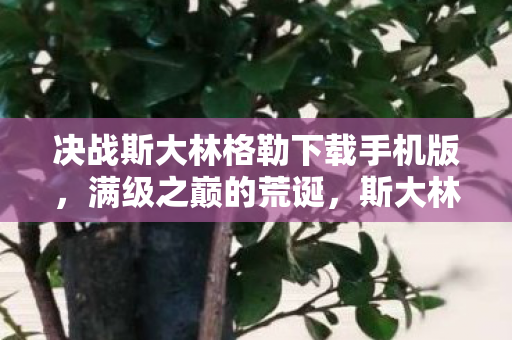 决战斯大林格勒下载手机版,满级之巅的荒诞,斯大林格勒的虚拟王座,现实深渊的永恒囚徒 决战斯大林格勒下载手机版,满级之巅的荒诞,斯大林格勒的虚拟王座,现实深渊的永恒囚徒