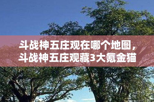 斗战神五庄观在哪个地图,斗战神五庄观藏3大氪金猫腻!老玩家,这波操作太上头 斗战神五庄观在哪个地图,斗战神五庄观藏3大氪金猫腻!老玩家,这波操作太上头