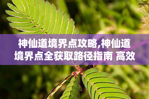 神仙道境界点攻略,神仙道境界点全获取路径指南 高效攒资源快速提修为 神仙道境界点攻略,神仙道境界点全获取路径指南 高效攒资源快速提修为