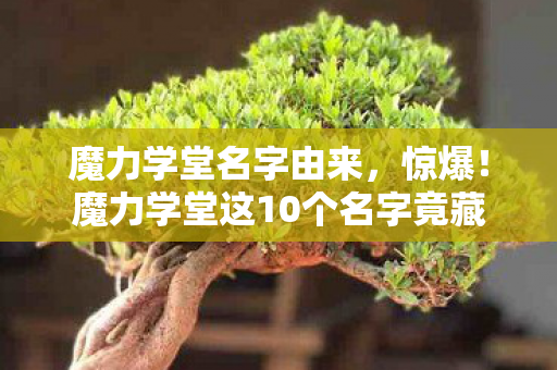 魔力学堂名字由来,惊爆!魔力学堂这10个名字竟藏着逆天改命的玄机? 魔力学堂名字由来,惊爆!魔力学堂这10个名字竟藏着逆天改命的玄机?