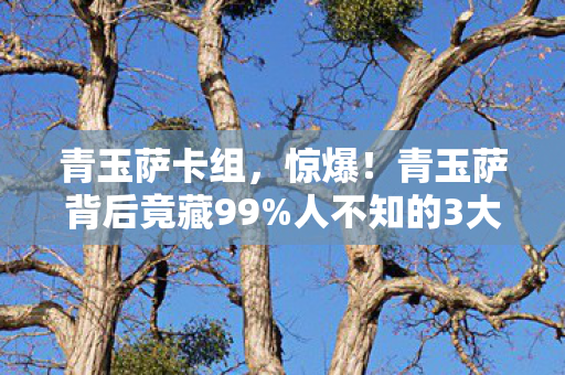 青玉萨卡组,惊爆!青玉萨背后竟藏99%人不知的3大隐秘真相! 青玉萨卡组,惊爆!青玉萨背后竟藏99%人不知的3大隐秘真相!
