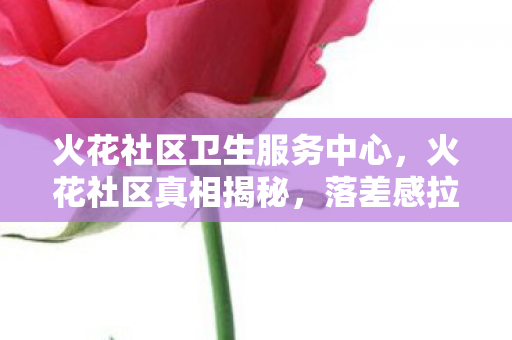 火花社区卫生服务中心,火花社区真相揭秘,落差感拉满!笑着笑着,我竟哭了…… 火花社区卫生服务中心,火花社区真相揭秘,落差感拉满!笑着笑着,我竟哭了……