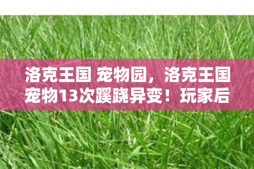 洛克王国 宠物园,洛克王国宠物13次蹊跷异变!玩家后背发凉,这背后藏着什么? 洛克王国 宠物园,洛克王国宠物13次蹊跷异变!玩家后背发凉,这背后藏着什么?