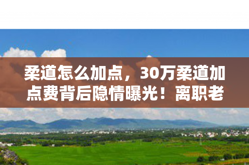 柔道怎么加点,30万柔道加点费背后隐情曝光!离职老兵拍桌怒吼,这方案早该枪毙! 柔道怎么加点,30万柔道加点费背后隐情曝光!离职老兵拍桌怒吼,这方案早该枪毙!