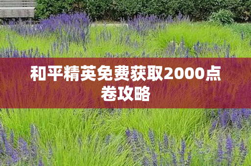 和平精英免费获取2000点卷攻略图片