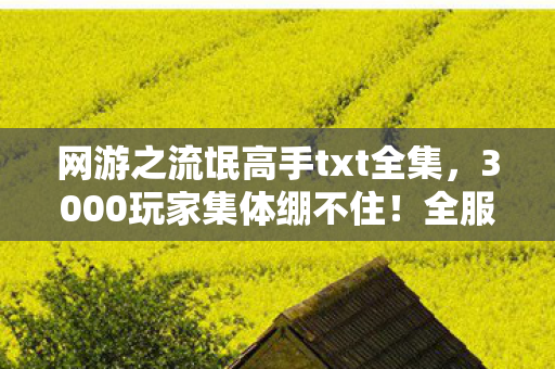 网游之流氓高手txt全集，3000玩家集体绷不住！全服第一竟用脚操作？退坑大佬，这操作我笑到2027