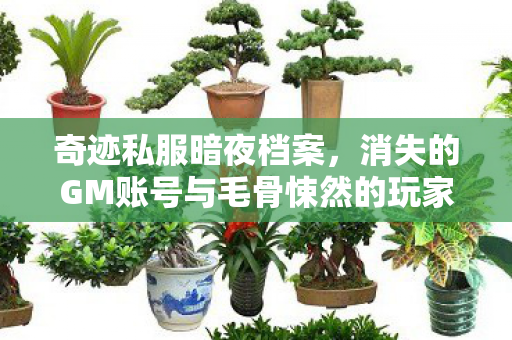奇迹私服暗夜档案，消失的GM账号与毛骨悚然的玩家悬案