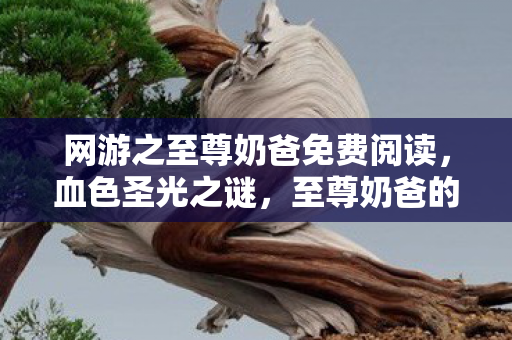 网游之至尊奶爸免费阅读,血色圣光之谜,至尊奶爸的悬案与毛骨悚然真相 网游之至尊奶爸免费阅读,血色圣光之谜,至尊奶爸的悬案与毛骨悚然真相