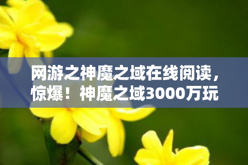 网游之神魔之域在线阅读，惊爆！神魔之域3000万玩法被砍，背后隐情让人吓一跳！