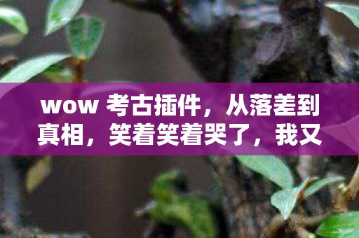 wow 考古插件，从落差到真相，笑着笑着哭了，我又偷偷上线考古了