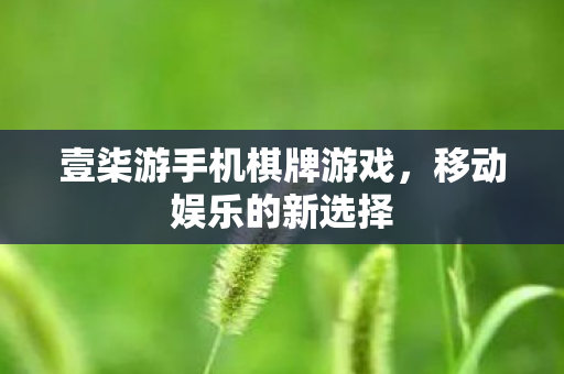 壹柒游手机棋牌游戏图片