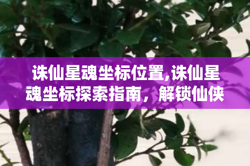 诛仙星魂坐标位置,诛仙星魂坐标探索指南,解锁仙侠世界的星藏奇遇 诛仙星魂坐标位置,诛仙星魂坐标探索指南,解锁仙侠世界的星藏奇遇
