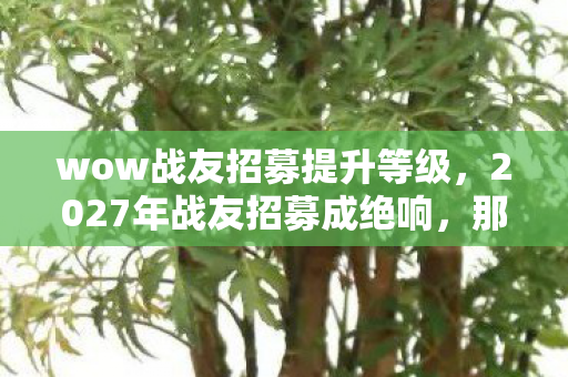 wow战友招募提升等级，2027年战友招募成绝响，那些别走承诺，让我鼻子一酸