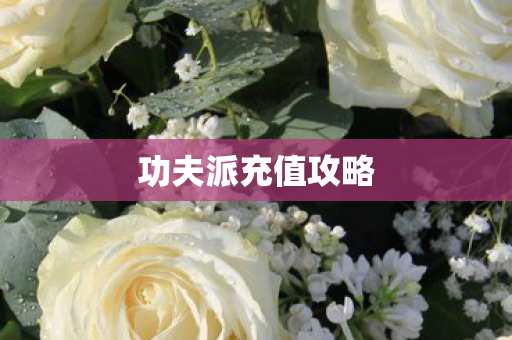 功夫派充值攻略图片